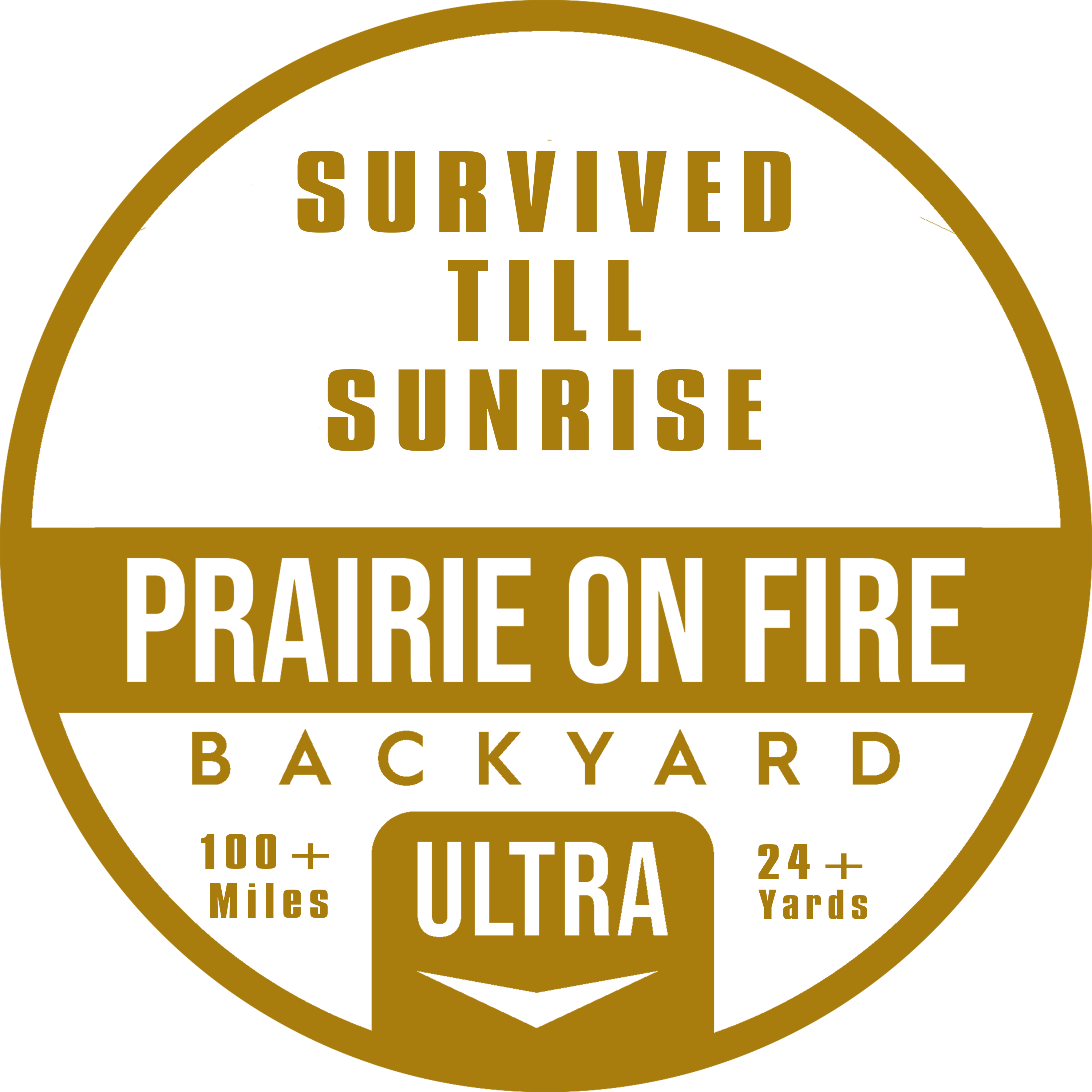 Survived Till Sunrise